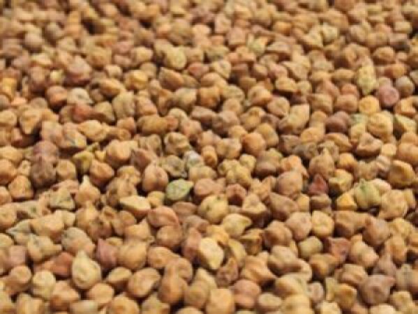 Chickpeas-Desi