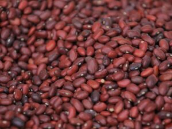 Red-Kidney-bean