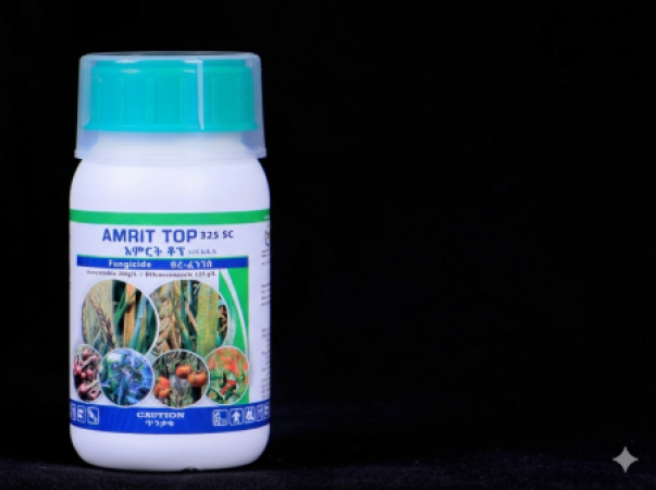 AmriTop