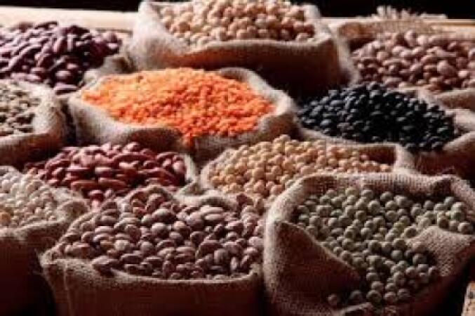 Pulses & Beans