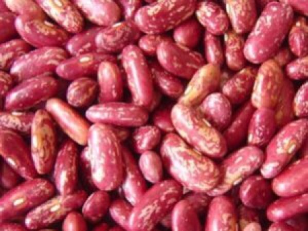 Red-Speckled-kidney-bean